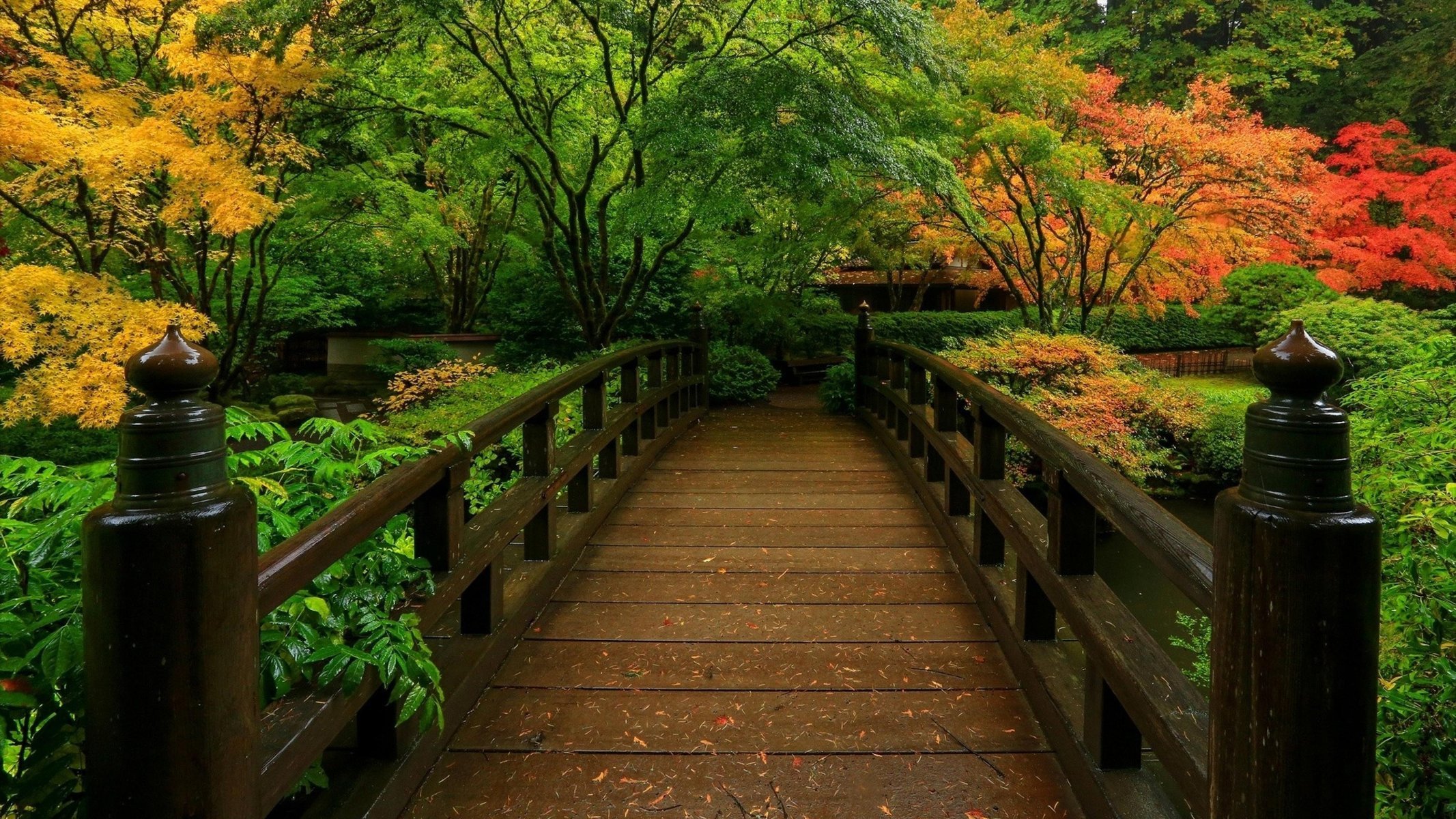 parque puente estanque otoño árboles