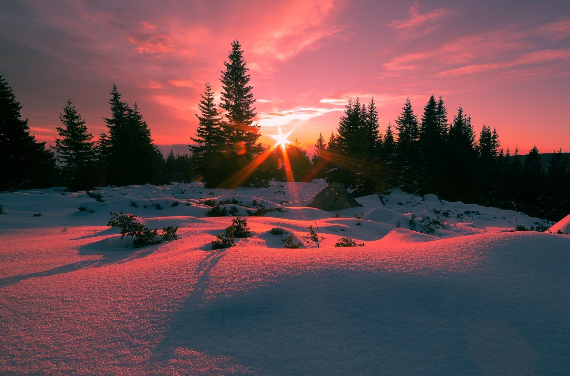 berg vitosha bulgarien sonnenaufgang