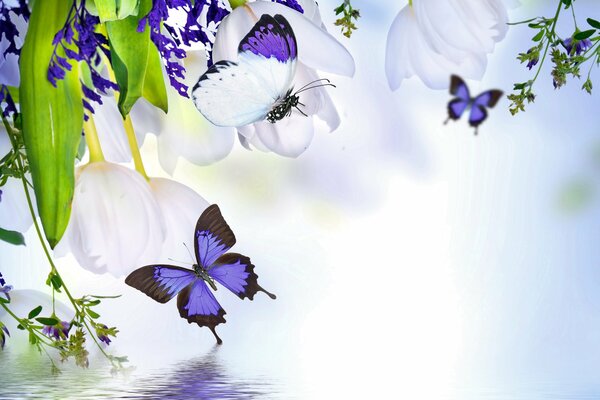 Beautiful picture with flowers and butterflies