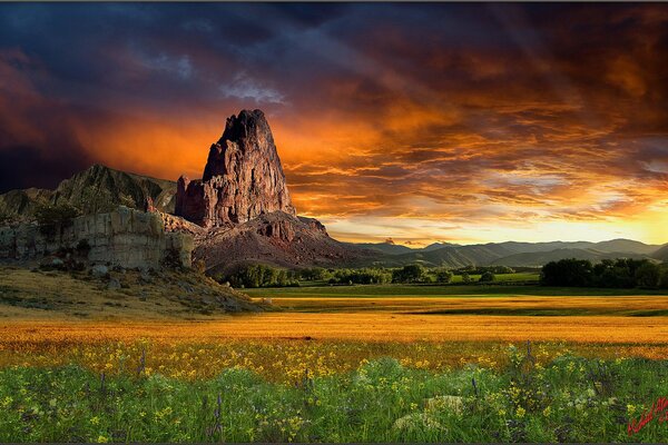 Sunset in the mountains beautifully illuminated wildflowers