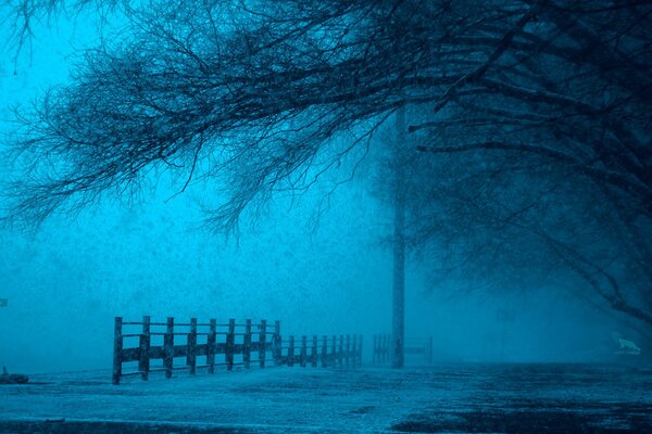 Noche de invierno en el parque de nieve