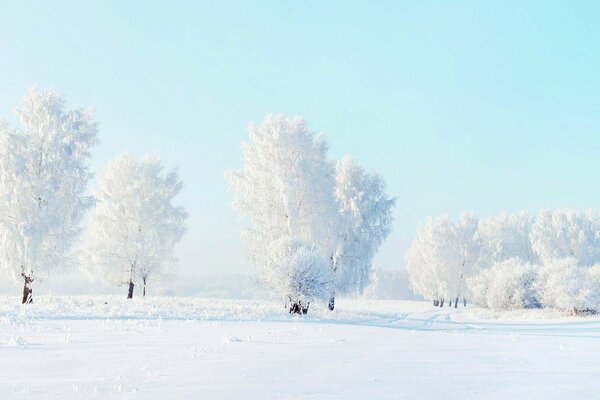 Lenza leggera innevata con gelo