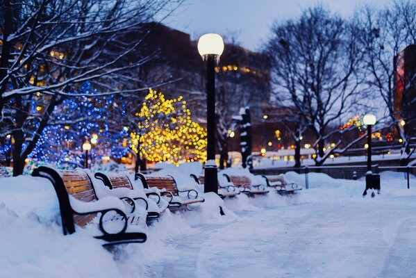 Winter evening. Snow-covered benches