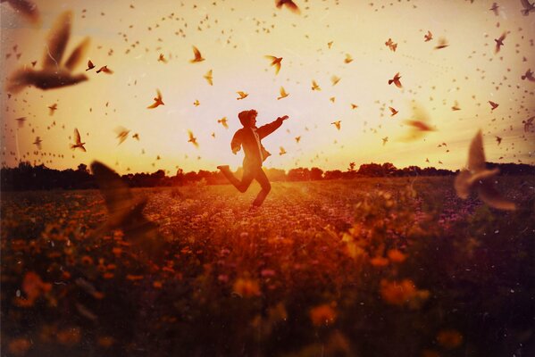 Le gars, éclairé par le soleil, court sur le terrain dispersant les oiseaux