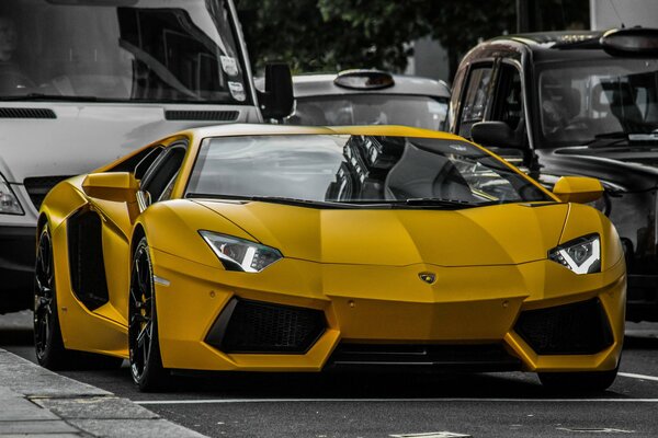 Jaune Lamborghini photo noir et blanc sur la route de la rue