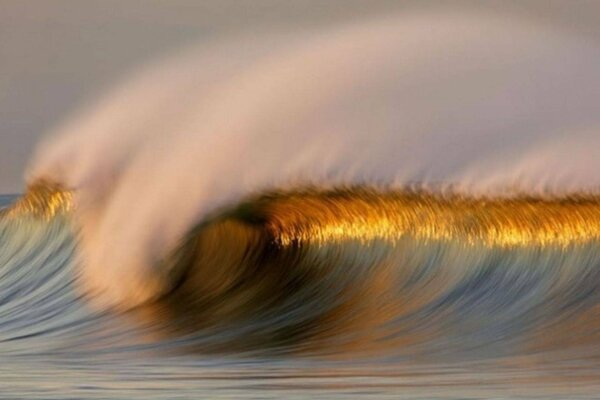 Fotografia dell elemento acqua-onda nell oceano