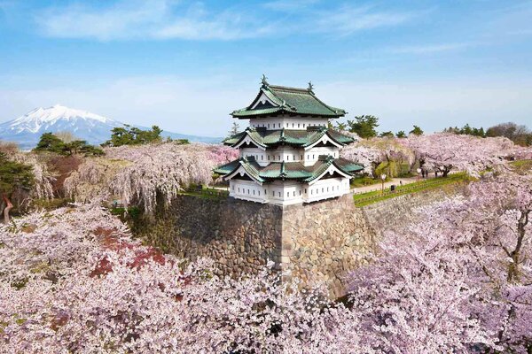 Japanisches Haus auf Kirschblüten Hintergrund