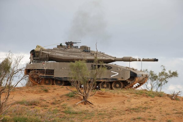 Carro armato israeliano della palude