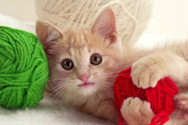 A red kitten with skeins of thread