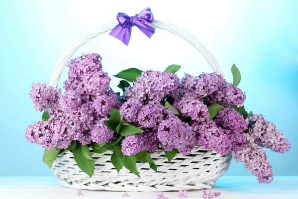 Bouquet of lilac in a basket with a purple bow