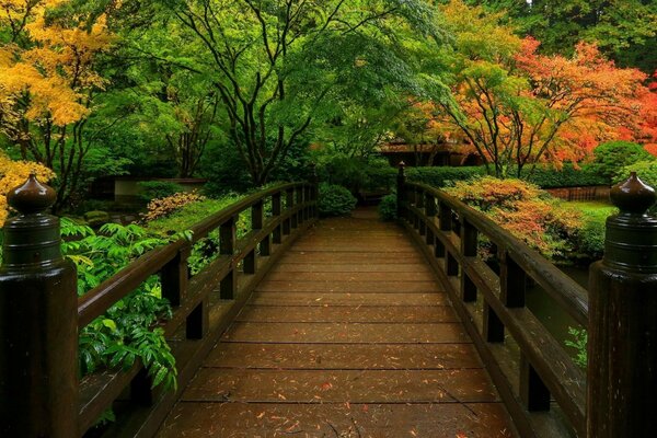 A bridge over a pond in a park among colorful trees