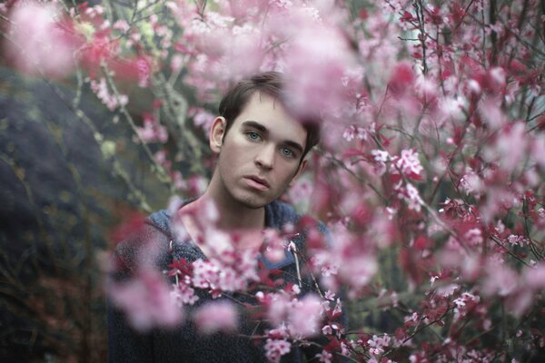 The guy poses in the garden and looks at the camera