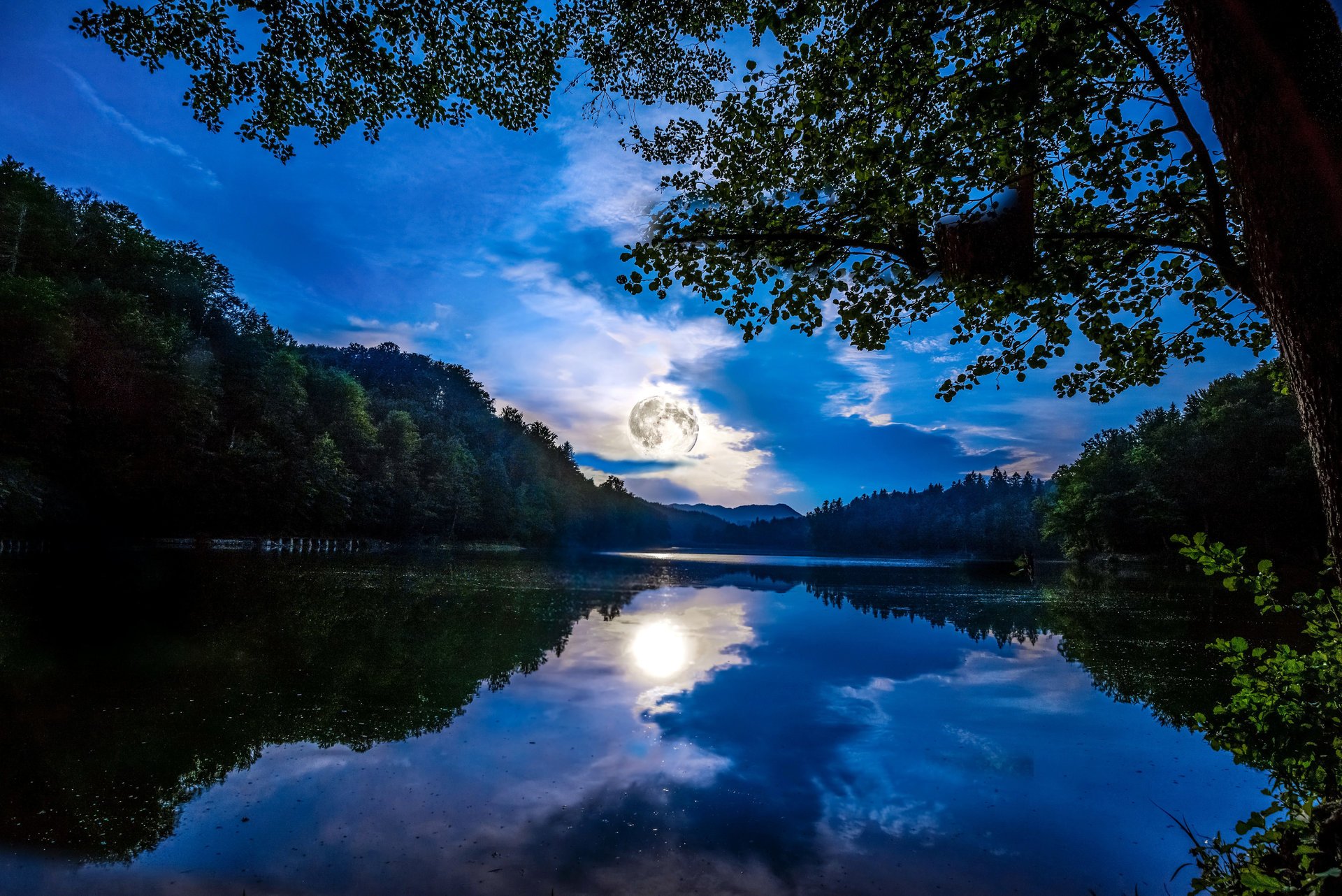 mainz deutschland wald fluss bäume nacht himmel mond wolken licht reflexion