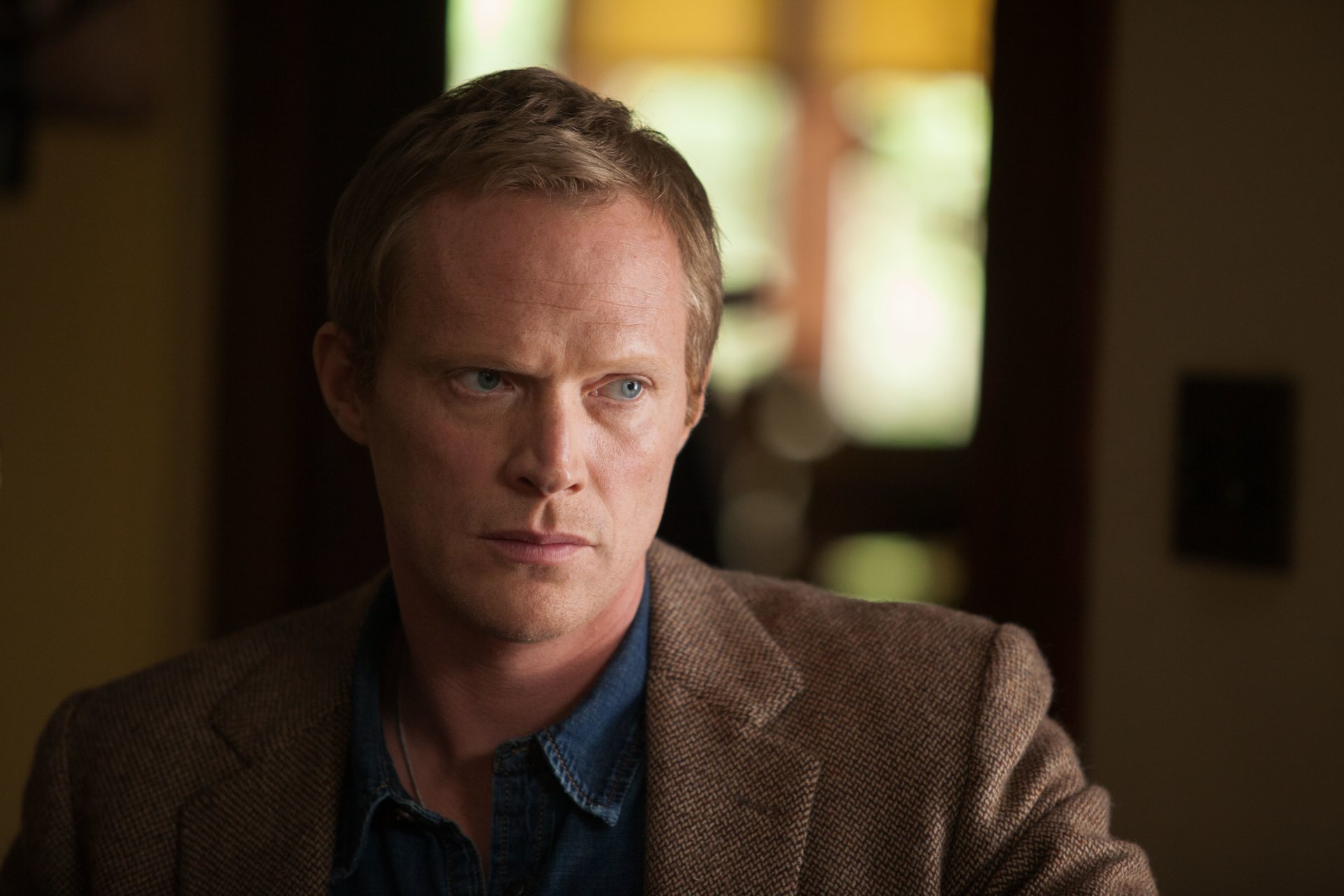 paul bettany porträt