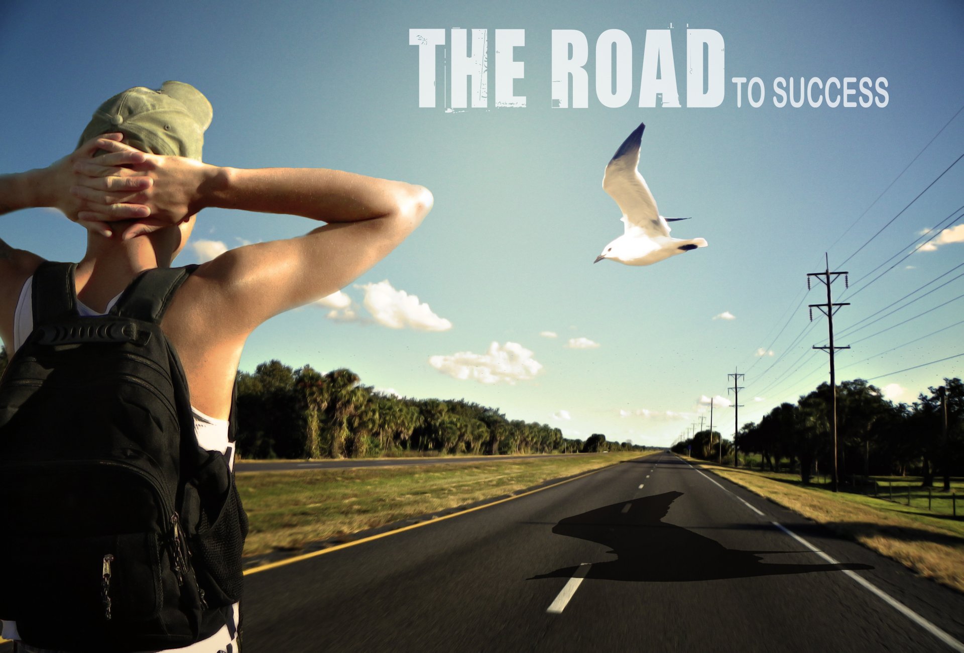 road success man guy for men men positive growth young energy travel thinking bird tourism