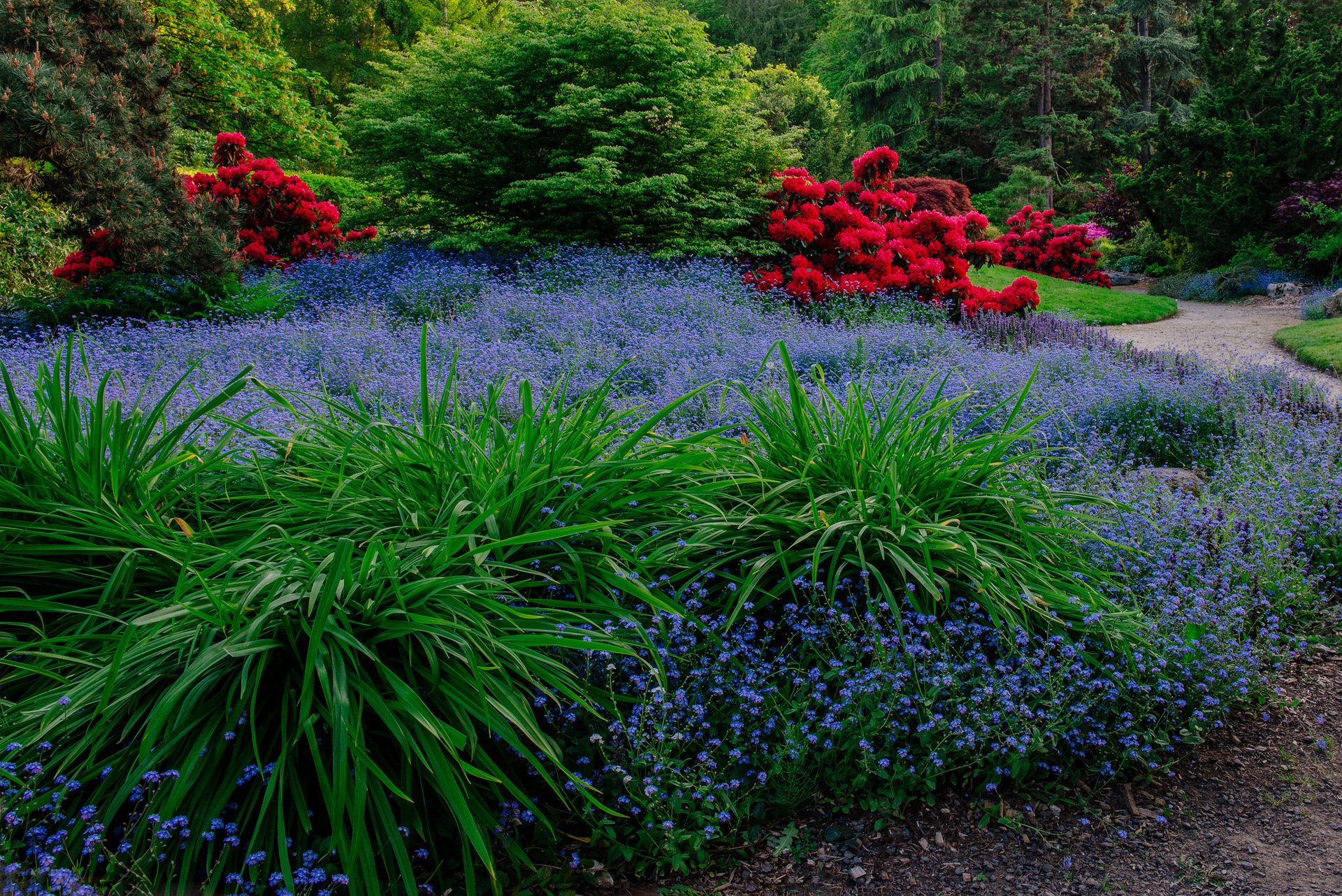 seattle giardino parco