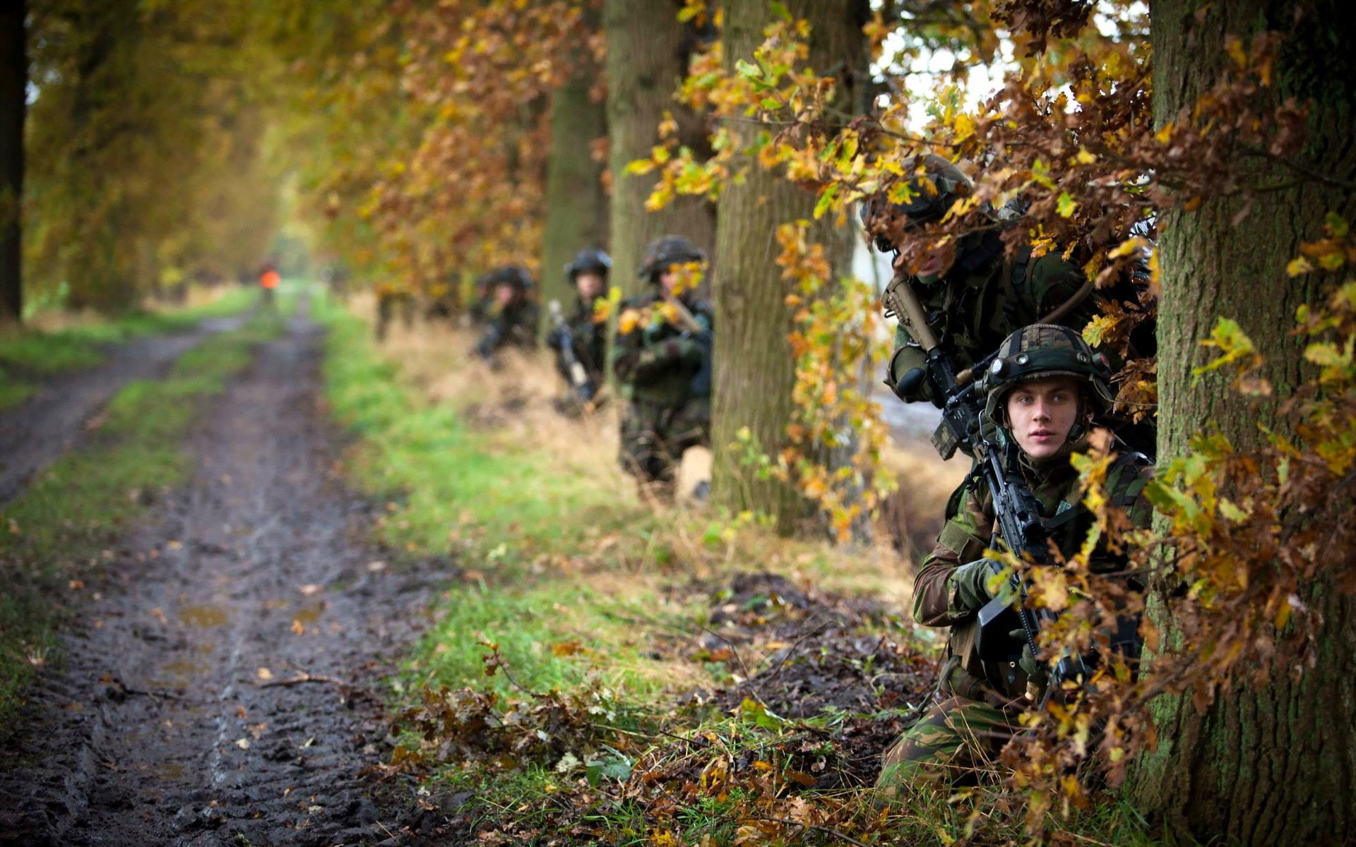 esercito reale olandese soldati armi