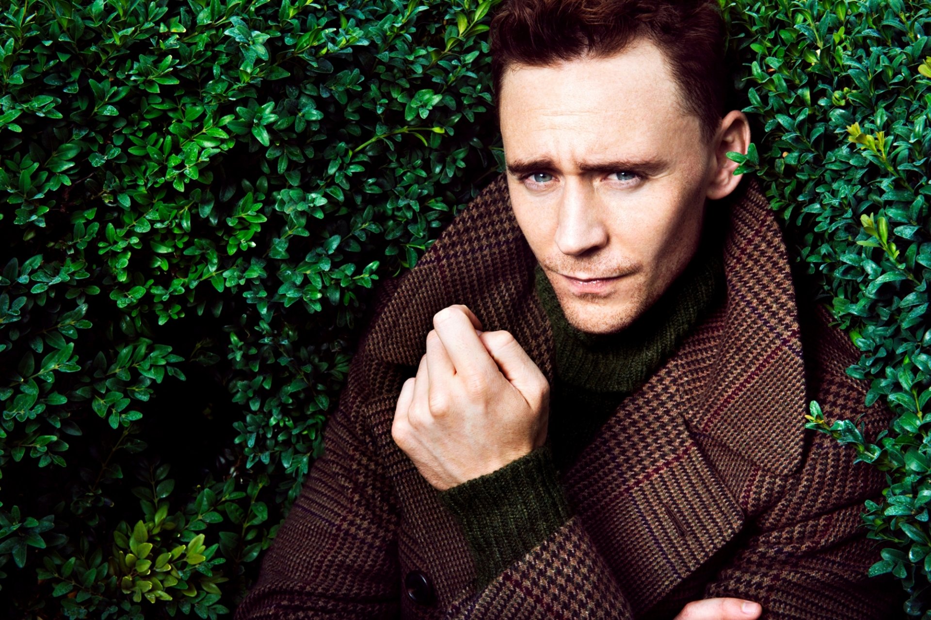 hiddleston tom hiddleston maschio attore cappotto cespugli verde