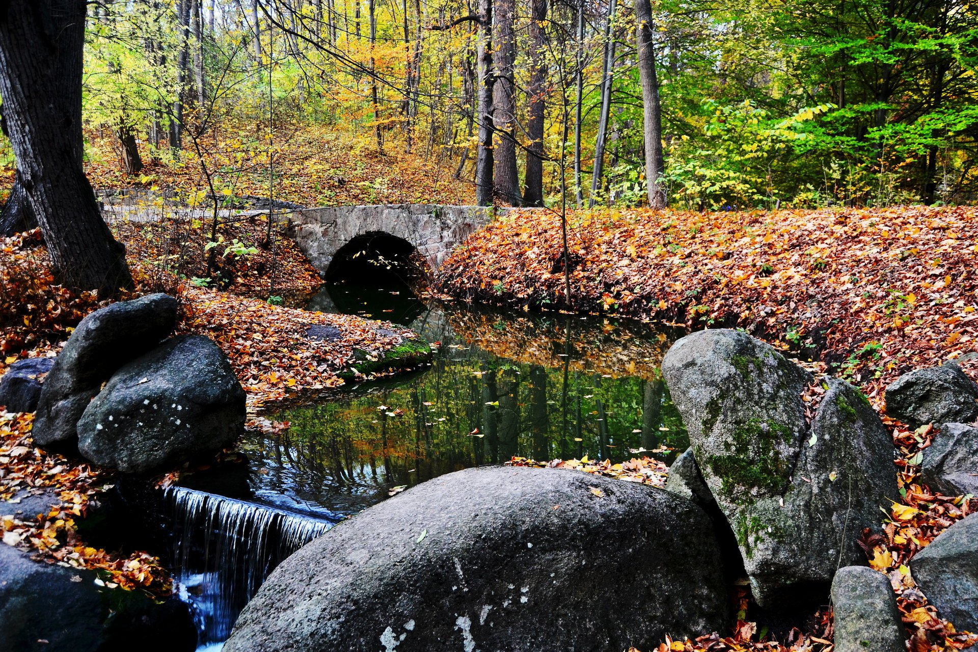 ukraina uman narodowy dendrologiczny sofijewka park jesień