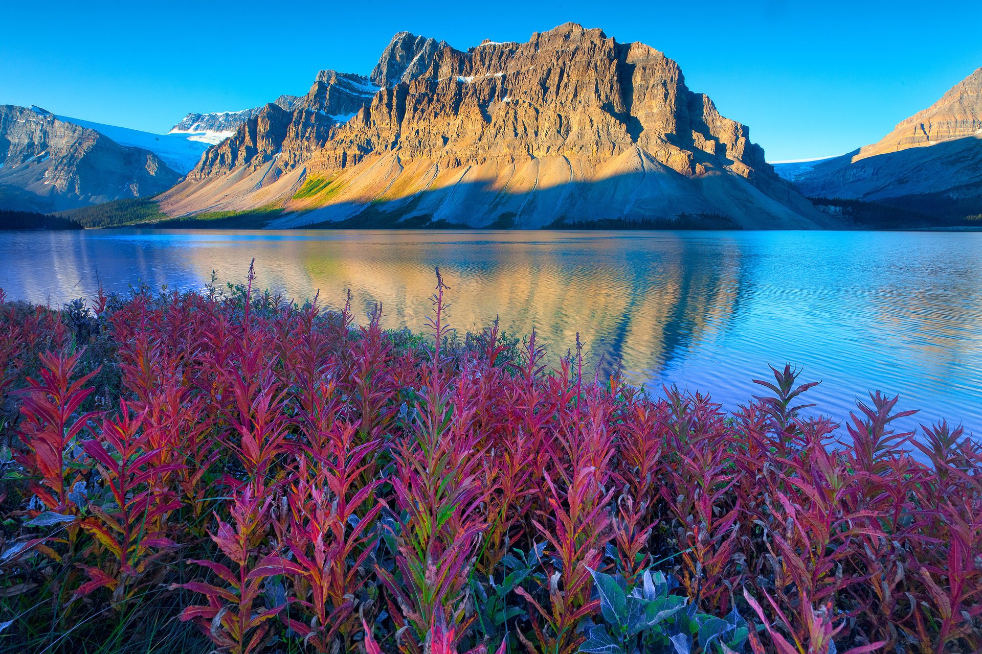 banff national park albert mountains lake canada