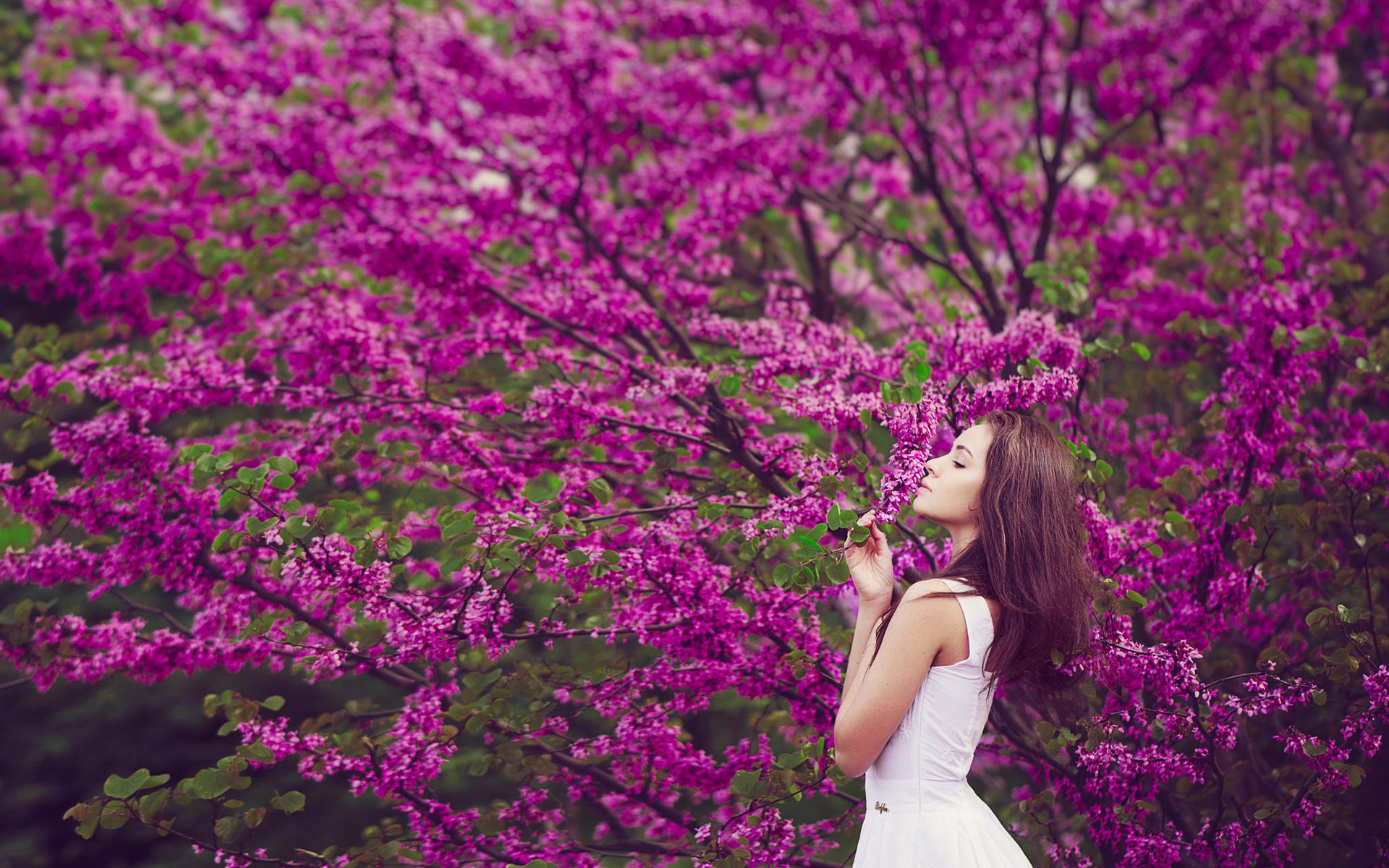 frühling schön blüte mädchen