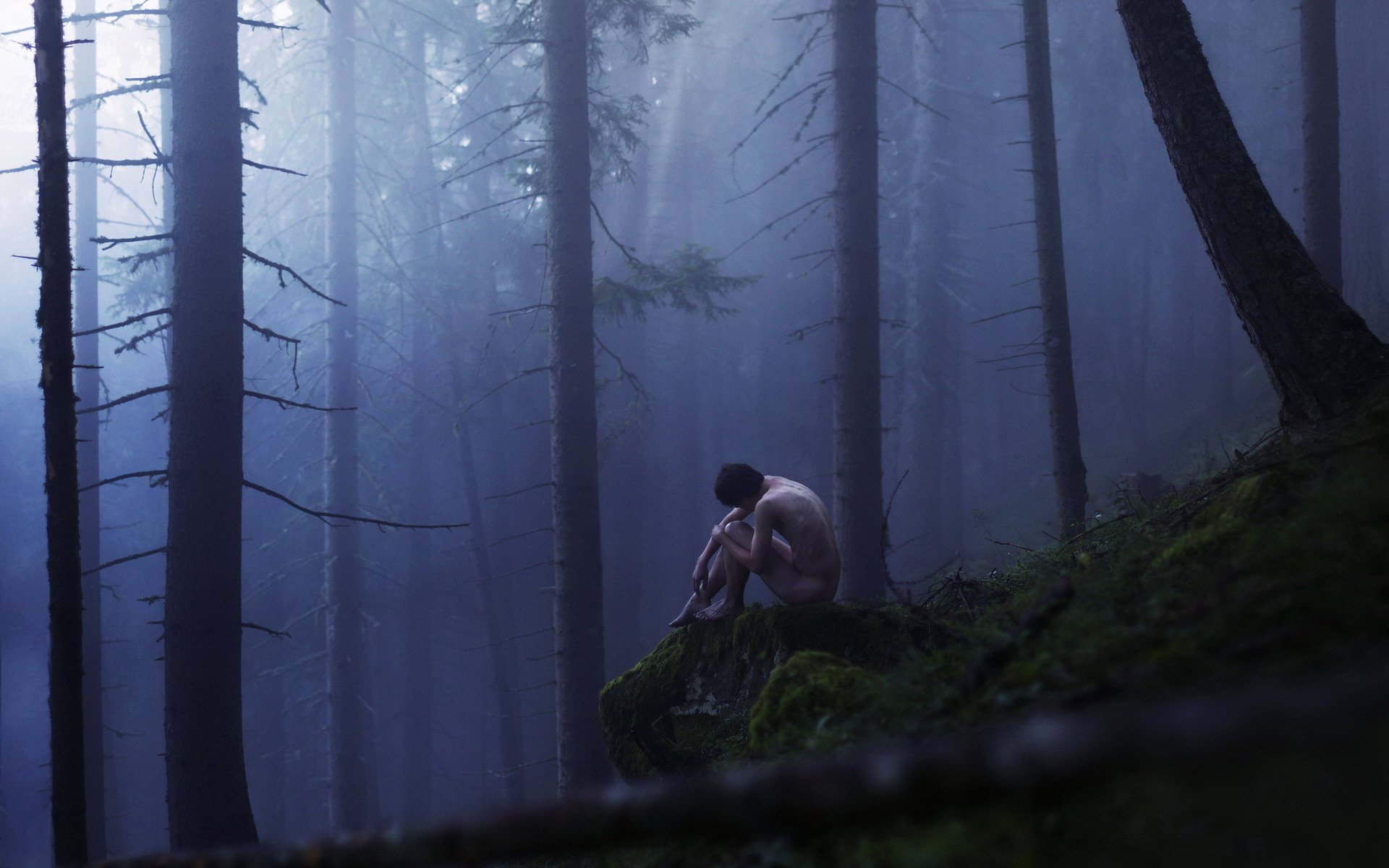 ragazzo foresta nebbia