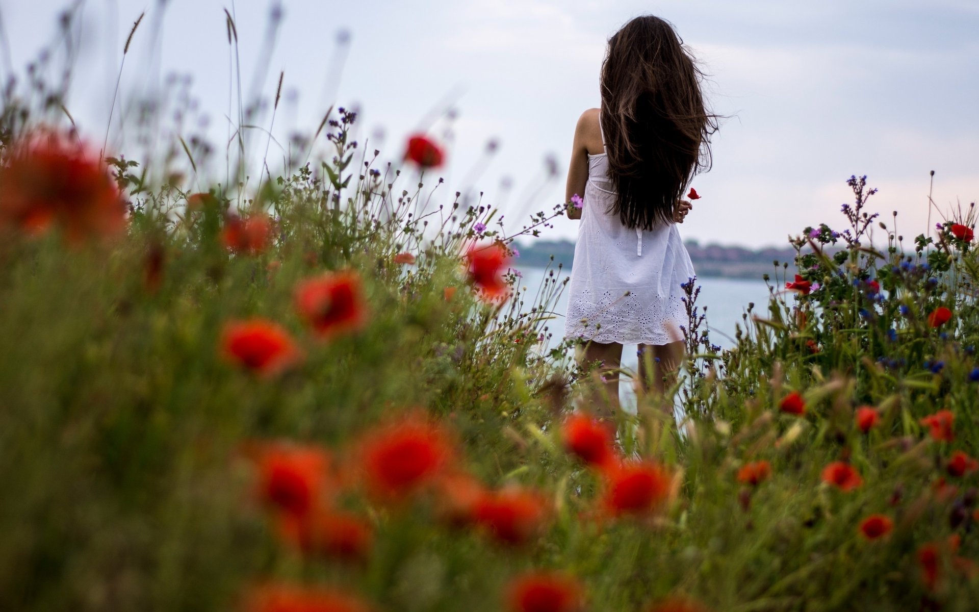 flowers girl long hair brunette