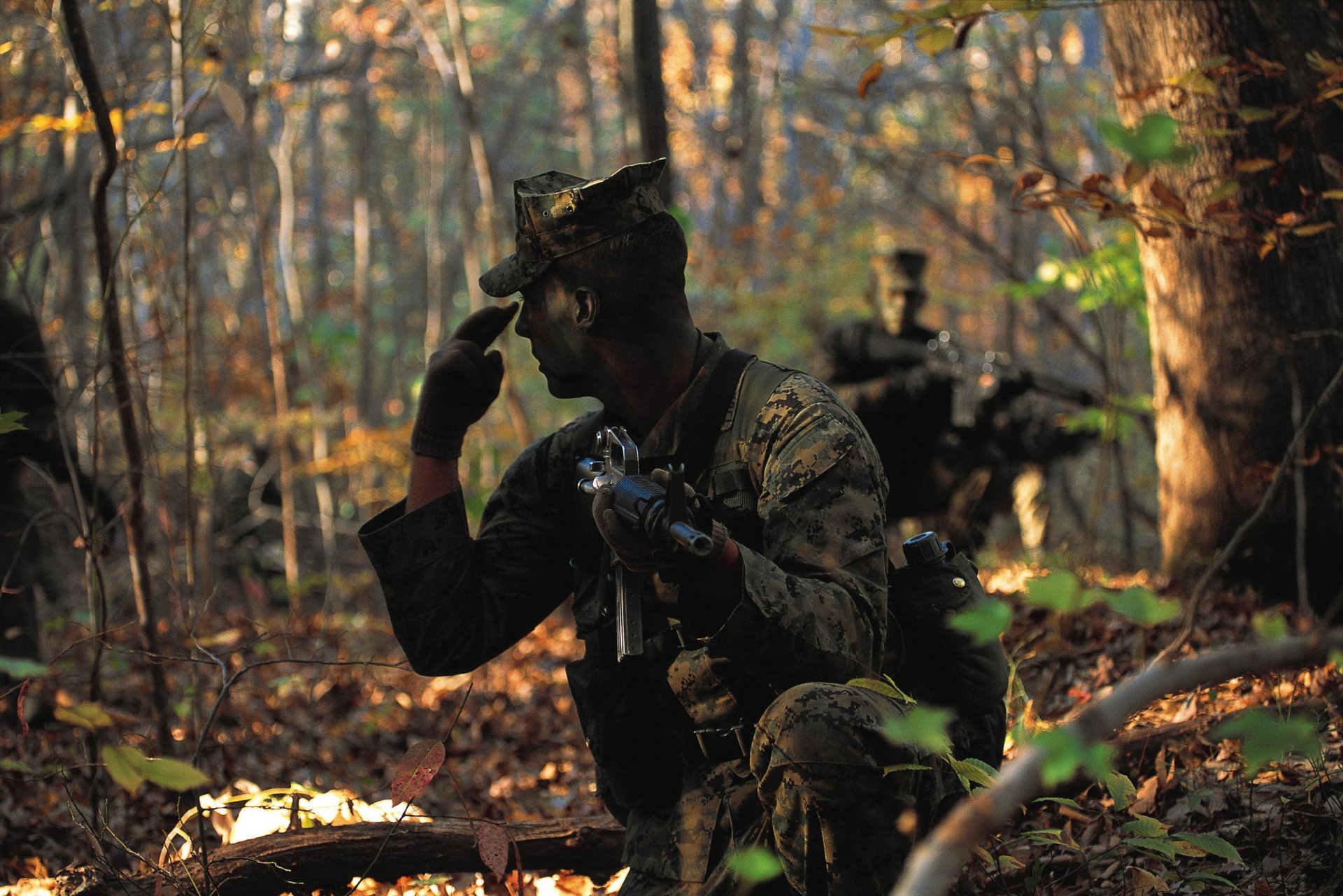 soldado marina infantería signo armas bosque