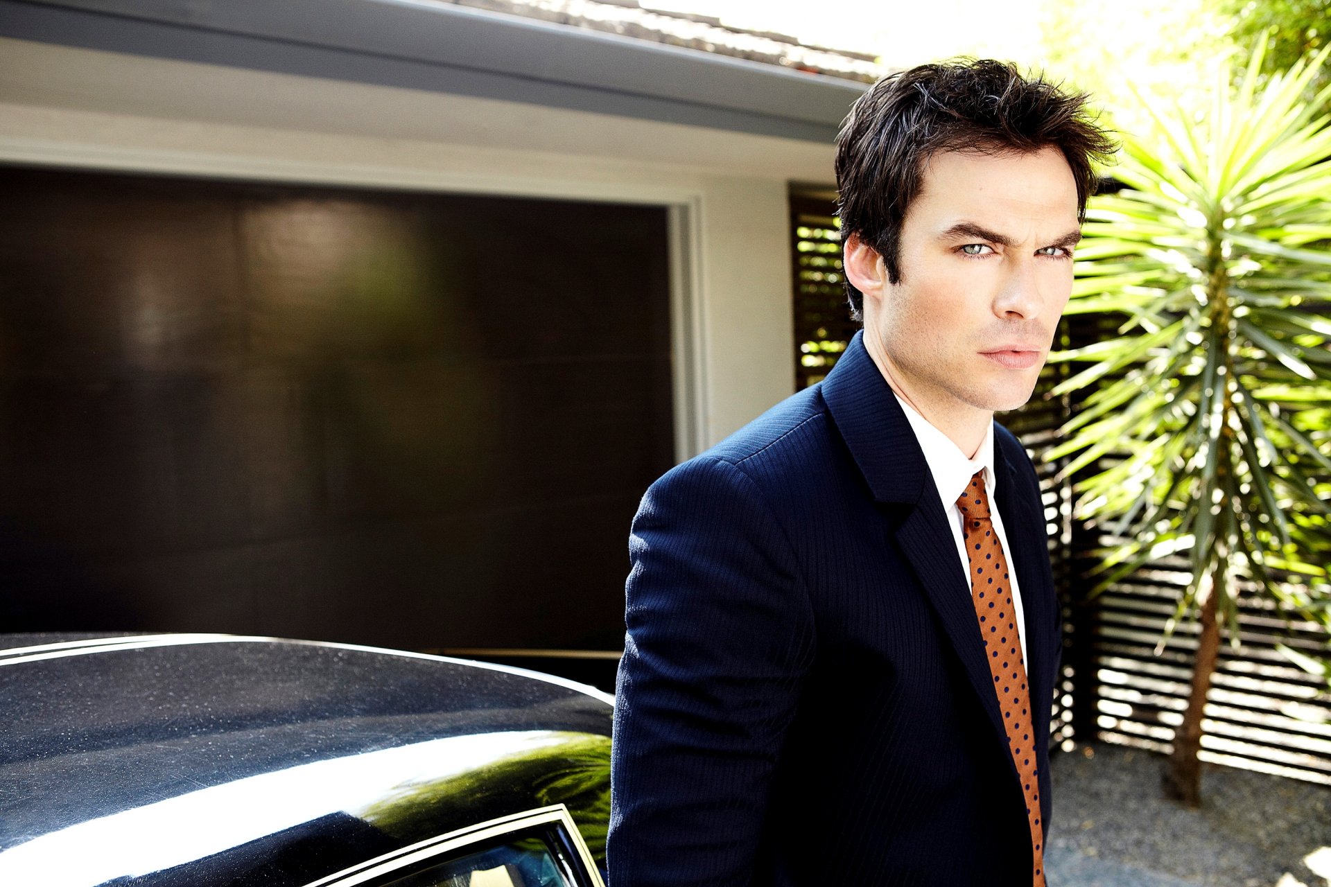 ian somerhalder ian somerhalder actor brunette man face look suit car