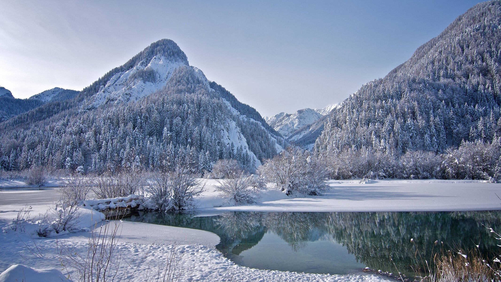 inverno fiume di montagna neve alberi