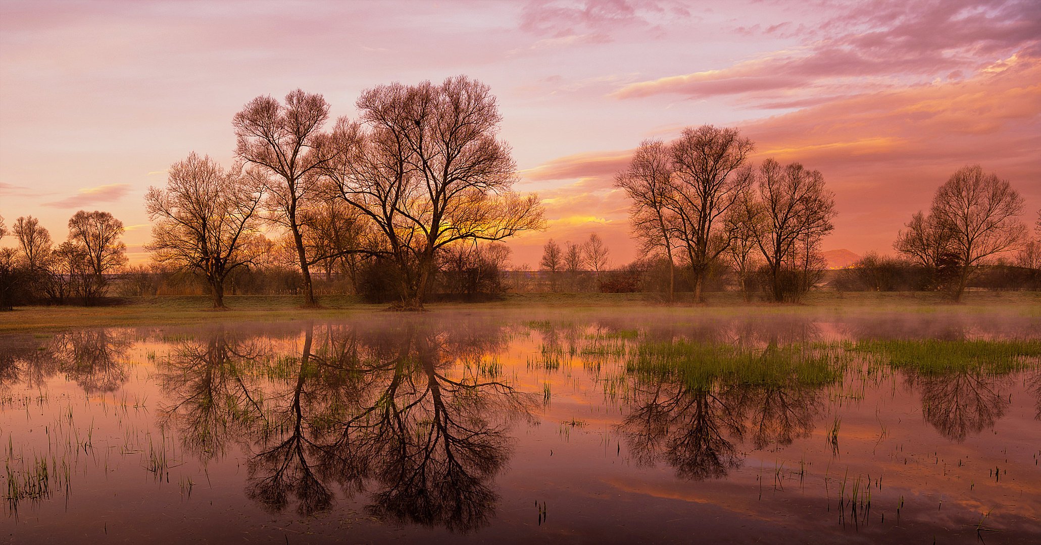 natura wiosna poranek świt łąka woda niebo chmury