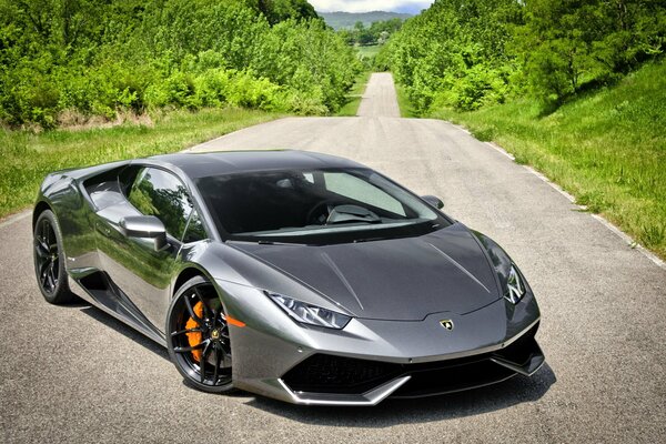 Lamborghini on the background of a country road