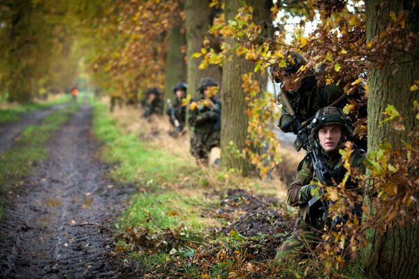 Hinter jedem Baum in diesem Wald verbirgt sich ein bewaffneter Mann