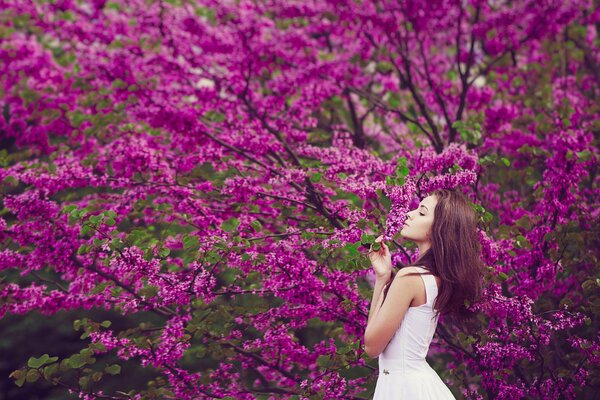 A girl in beautiful spring flowers