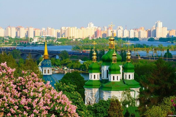 Bella fioritura di lillà sulle rive del Dnepr