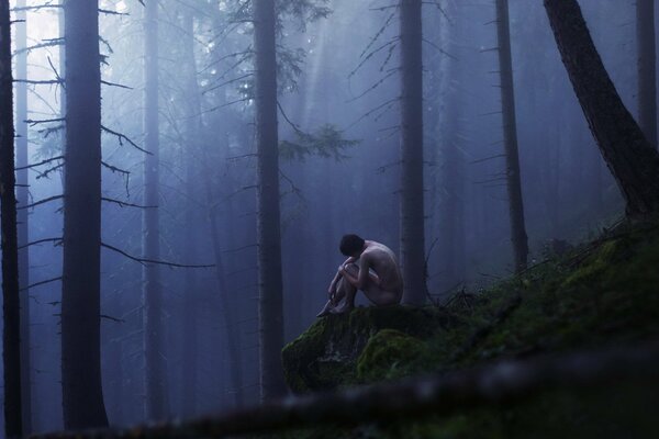 Hombre desnudo en el bosque de niebla