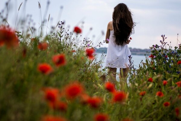 Morena chica cerca de amapolas rojas