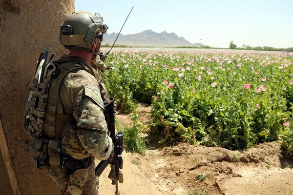 Soldado con armas Mira un campo de flores