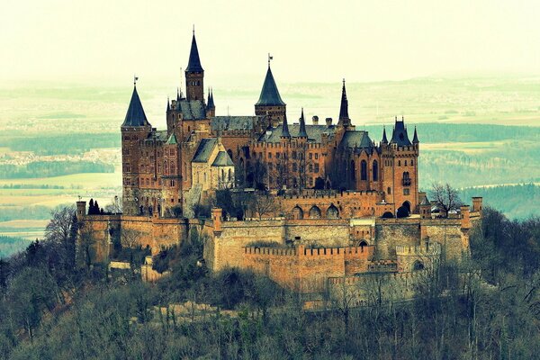 Das Schloss Hohenzollern, Deutschland und der umliegende Wald