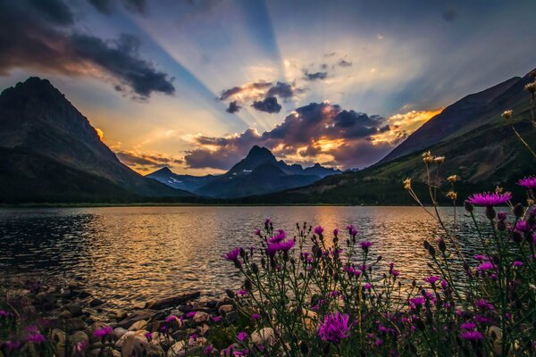 Belle nature lac montagne fleurs