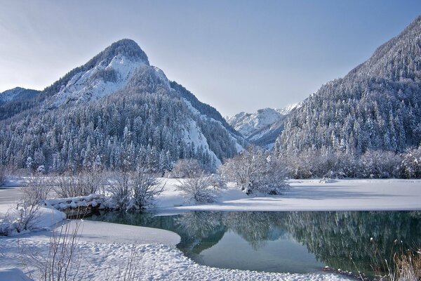 Fiume di montagna innevato e alberi