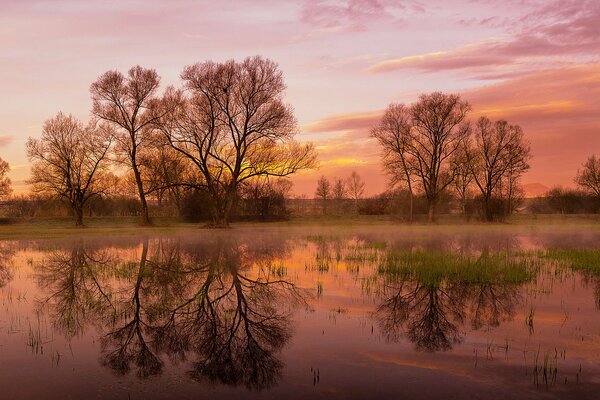 Printemps aube du soleil, ciel du matin