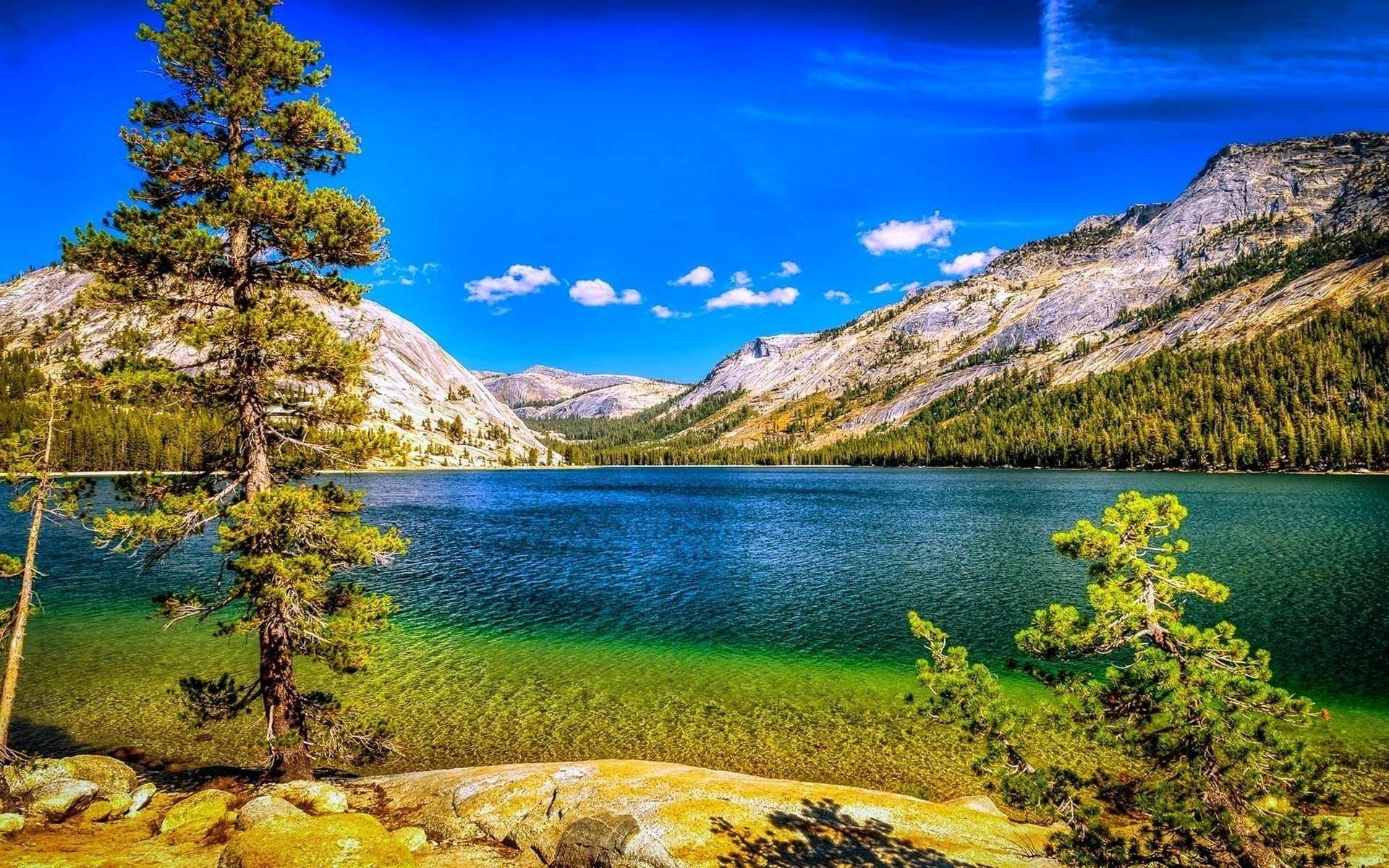 lac ciel arbres