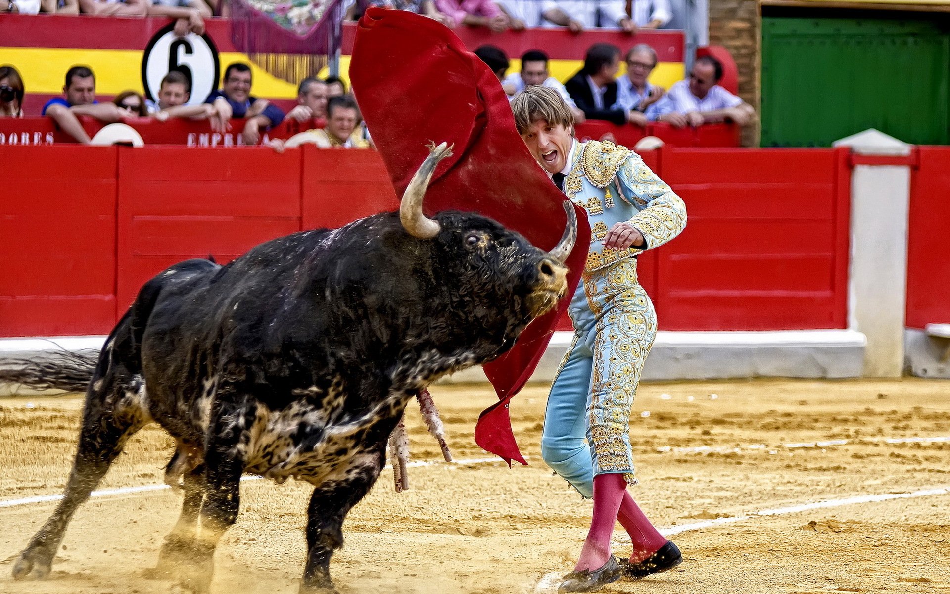 torero toro españa