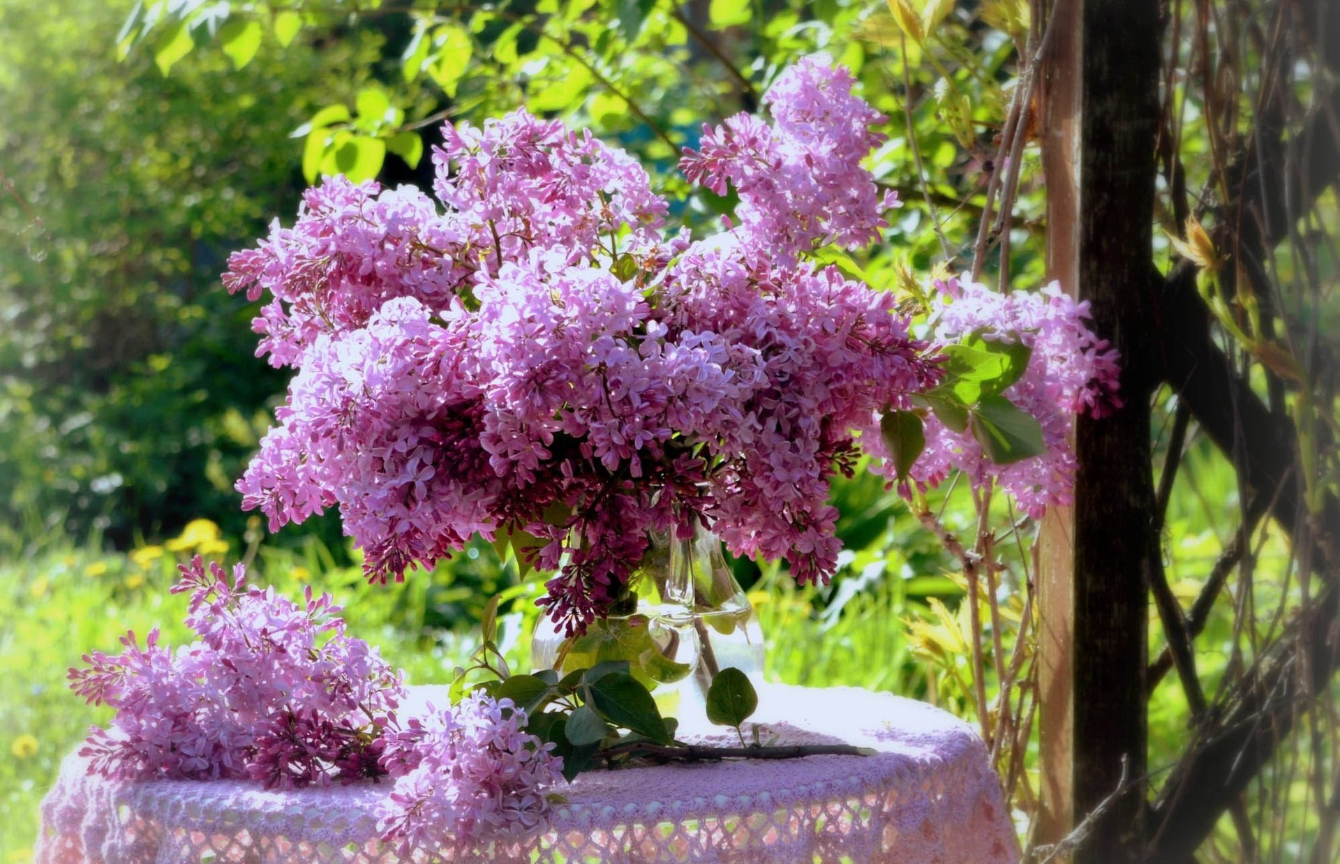 bouquet lilas