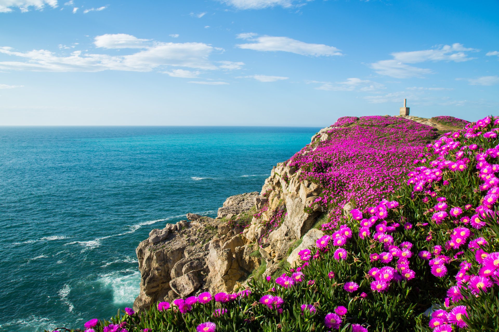 cantabria golfo di biscaglia fiori spagna