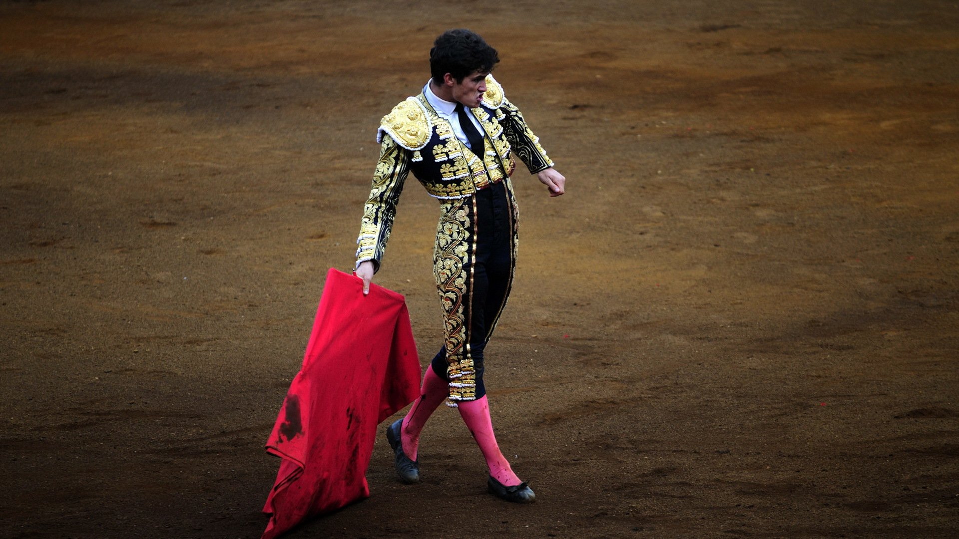 bullfighter arena spain