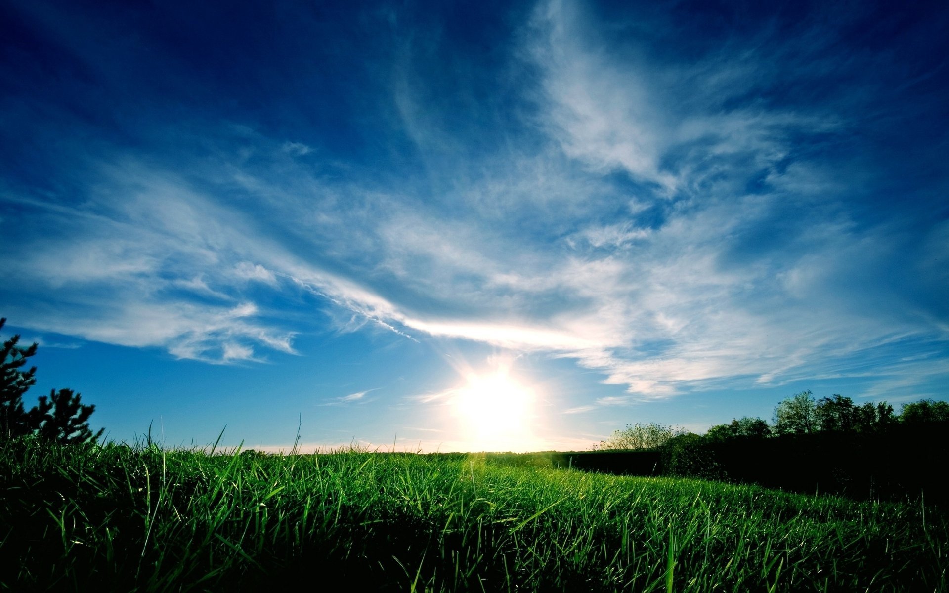 green field blue sky horizon