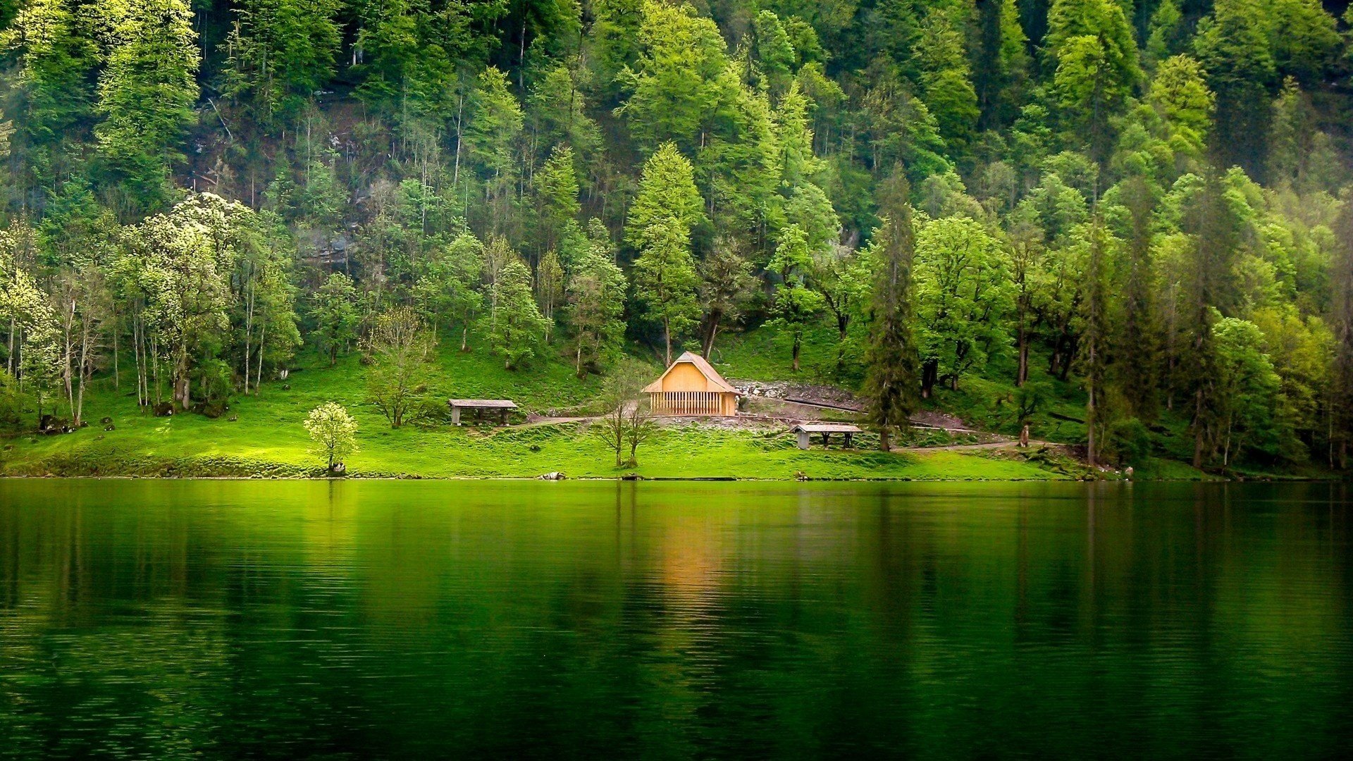 naturaleza lago