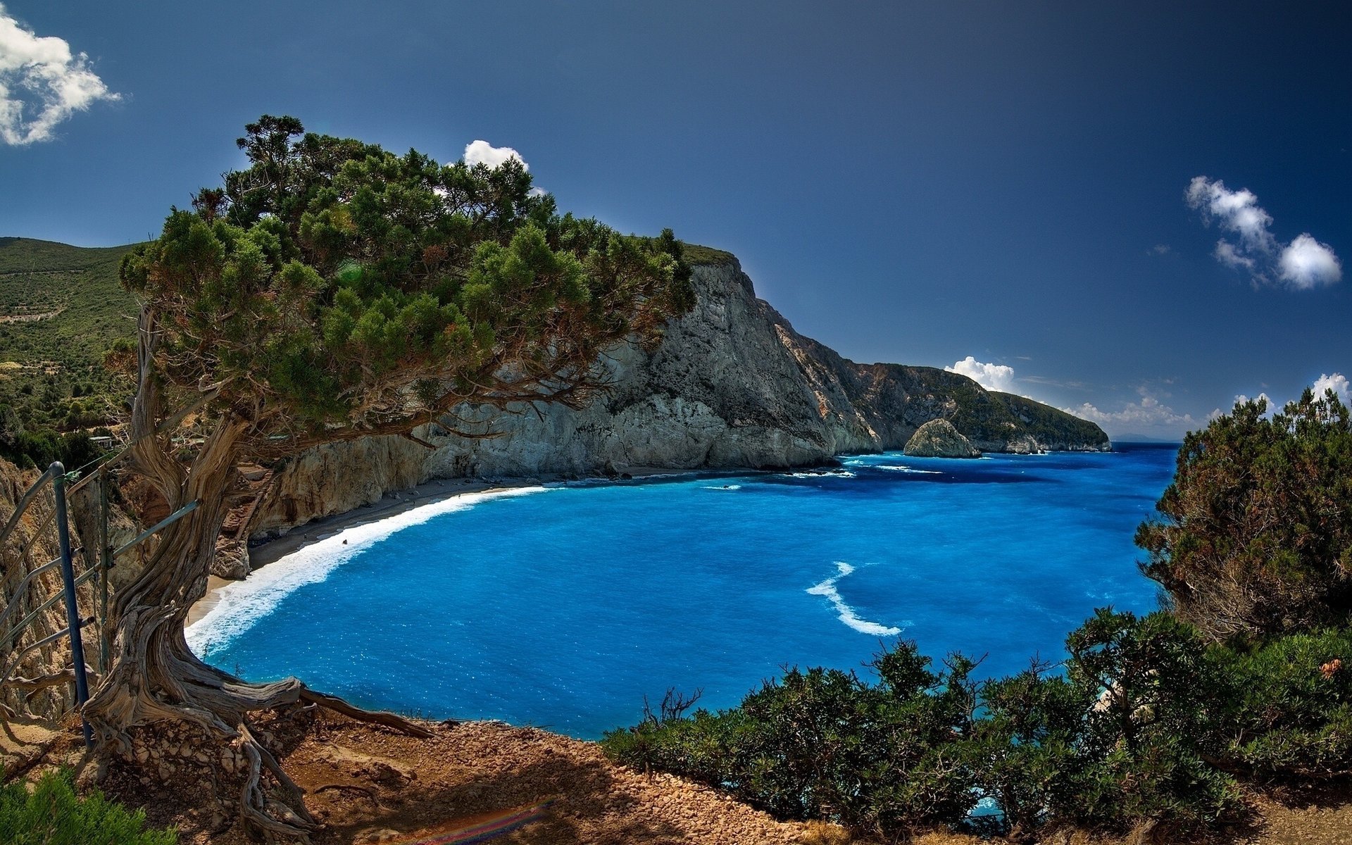 porto katziki lefkada grecja morze drzewo